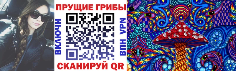 нарко площадка клад  Пятигорск  Галлюциногенные грибы GOLDEN TEACHER  как найти наркотики 